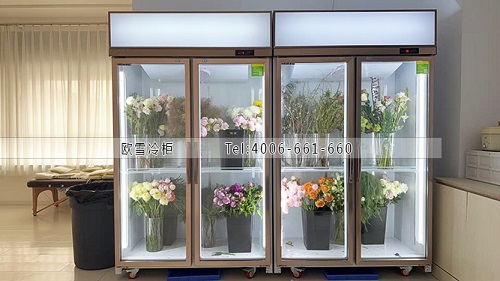 鲜花保鲜柜.jpg