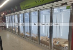 冷柜-湖南购物中心食品冷藏冷冻展示柜选购