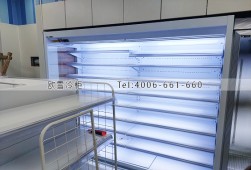 风幕柜价格-厦门哪里有卖便利店保鲜风幕柜？