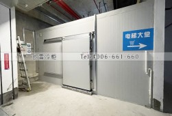 冷库建造-深圳盐田区170立方的食品冷库安装