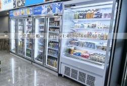 便利店冷柜-广州哪里有卖便利店饮料柜？