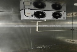 冷库建造-湖南永州小型食品冷库安装