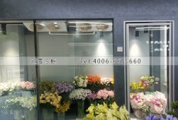 保鲜库-杭州花店10立方的玻璃花房冷库安装