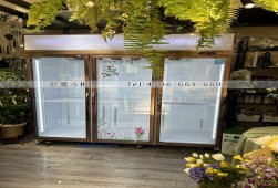 保鲜柜-上海三门鲜花展示柜选购
