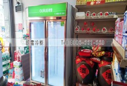 展示柜-四川双开门饮料冷藏柜选购