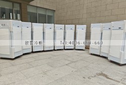 冰柜-北京化学品单门不锈钢冰柜选购