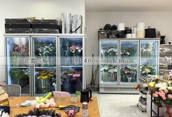 鲜花柜-山东临沂花店三门保鲜展示柜选购